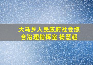 大马乡人民政府社会综合治理指挥室 杨慧超